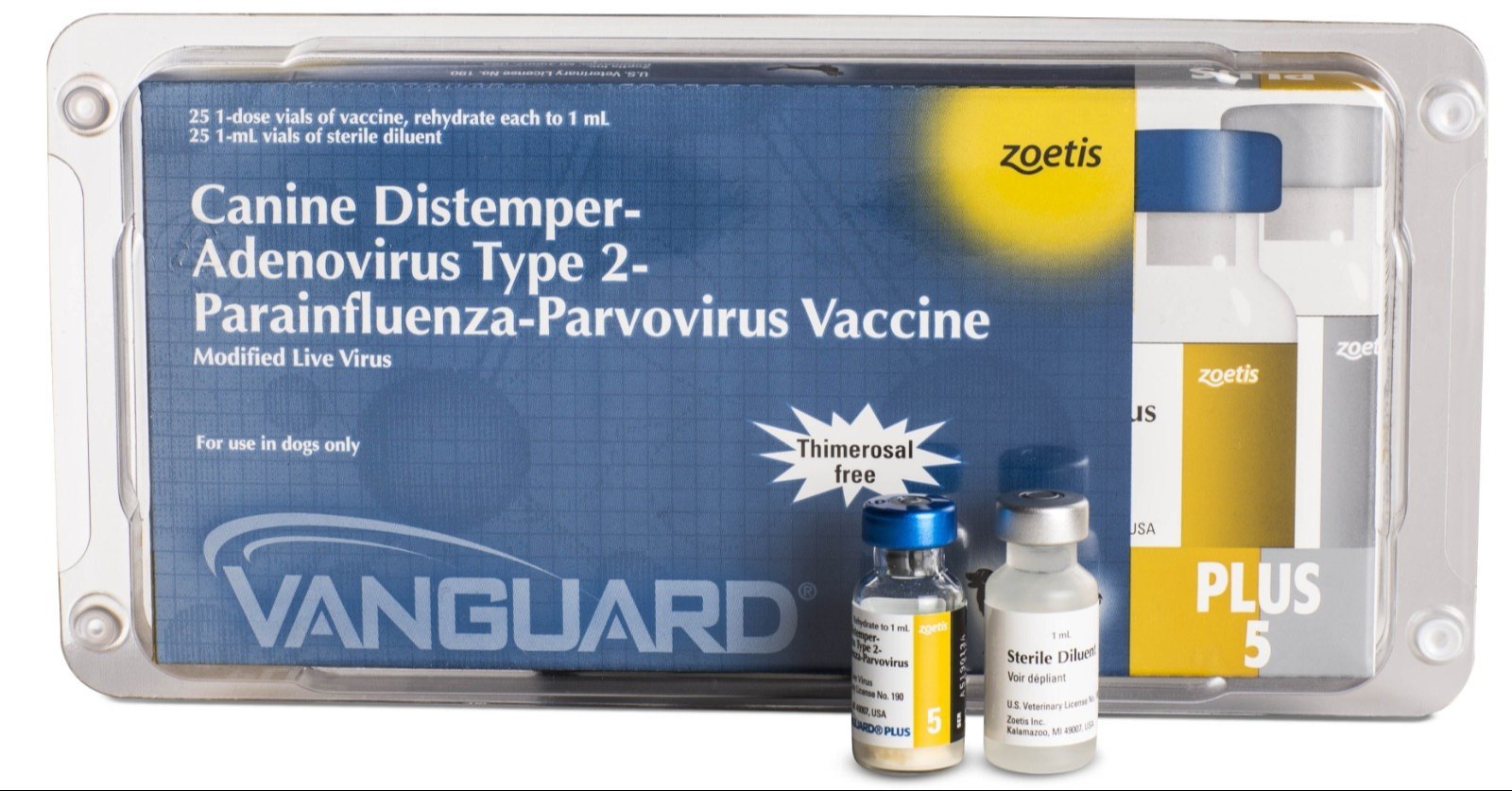 Zoitic canine Distemper